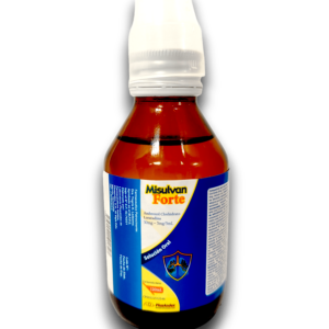 MISULVAN FORTE (AMBROXOL /LORATADINA) 30 MG /5 MG /5 ML SOL ORAL FCO 120 ML (PLUSANDEX) ( * )