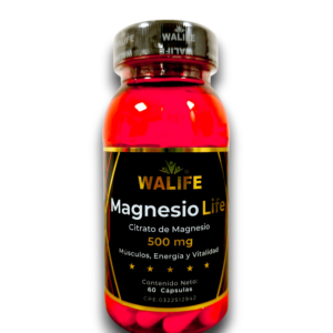 MAGNESIO LIFE 500 MG X 60 CAP (WALIFE)
