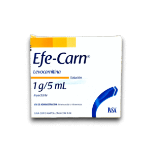 L-CARNITINA 1 G /5 ML AMP (PISA)
